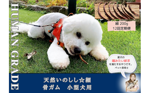 FB174_小型犬向け☆天然いのししの骨ガム200g【定期便】全12回