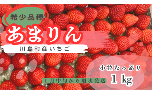 【希少あまりん】朝採れ！いちごあまりん１kg  人気 あまりん 小粒たっぷり 希少国産 埼玉県 川島町産 完熟いちご 期間限定  1734281 - 埼玉県川島町