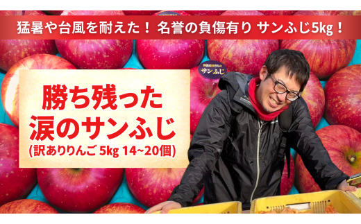 【訳あり品】 勝ち残った涙のサンふじ 5kg 【 りんご サンふじ 旬 産地直送 岩手 陸前高田 】 RT2689 1833318 - 岩手県陸前高田市