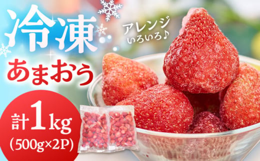 福岡産 冷凍 あまおう 1kg （500g×2袋） ▼ 福岡 冷凍いちご 苺 イチゴ フルーツ 小分け 桂川町/南国フルーツ株式会社[ADBW005] 1803909 - 福岡県桂川町