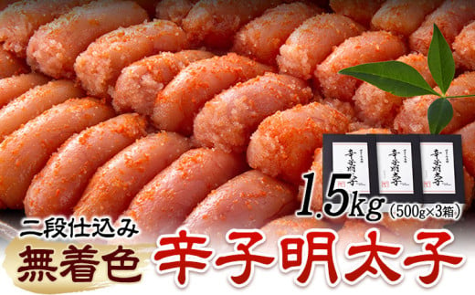 辛子明太子 無着色・二段仕込み 1.5kg ( 500g × 3箱 ) 株式会社博多の味本舗《30日以内に出荷予定(土日祝除く)》福岡県 鞍手郡 鞍手町 めんたいこ 明太子 送料無料 1786038 - 福岡県鞍手町