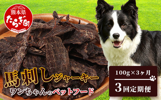 【定期便3回】ペット用 熊本加工 手作り 馬肉 ジャーキー 【100g×3回】 ドッグ フード ペット おやつ 食事 無添加 無香料 ヘルシー 高栄養 馬肉 ペット お肉専門店 熊本県 馬肉 冷凍 国内加工 041-0510