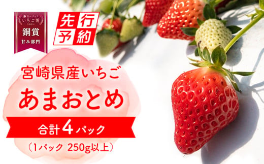 《2025年発送先行予約》【期間・数量限定】いちご「あまおとめ」 (250g×4トレイ・パック)_M267-001 645811 - 宮崎県宮崎市