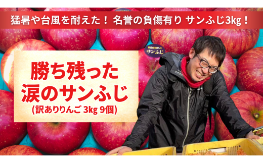 【訳あり品】 勝ち残った涙のサンふじ 3kg 【 りんご サンふじ 旬 産地直送 岩手 陸前高田 】 RT2688 1833317 - 岩手県陸前高田市