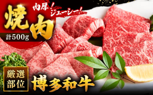 博多和牛 焼肉 用 500g ▼ 国産牛 博多 黒毛和牛 牛肉 焼き肉 やきにく BBQ バーベキュー 高品質 お祝い 御祝 お礼 桂川町/株式会社 MEAT PLUS[ADAQ009]