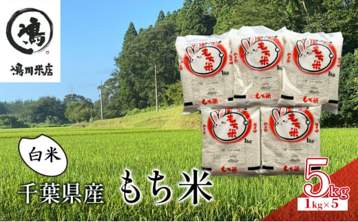 千葉県産　もち米　白米　5kg（1kg×5） お米 米 コメ こめ つやつや もちもち お弁当 おにぎり お取り寄せ 千葉市 千葉県 [№5346-1052]