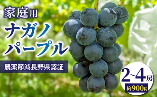 【先行受付2025年発送】家庭用ナガノパープル約900g（2~4房）　農薬節減長野県認証｜東御こもだ果樹園　※2025年9月上旬～9月下旬に発送予定 1256131 - 長野県東御市