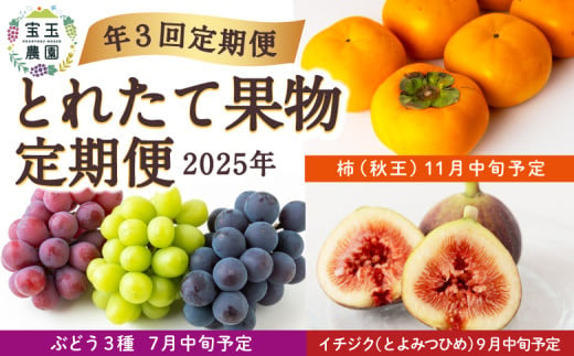 【年３回定期便】宝玉農園 とれたて果物定期便 2025年 (7月中旬予定：ぶどう３種・9月中旬予定：イチジク(とよみつひめ)・11月中旬予定：柿(秋王)) 1860098 - 福岡県うきは市