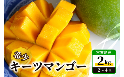 JH014【先行受付】宮古島産 希少 キーツマンゴー2kg【(株)フラモン】