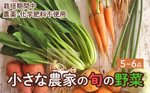 旬の野菜セット　5品~6品　野菜 野菜詰め合わせ おまかせ 新鮮 旬の野菜 愛知県 豊橋市 1886107 - 愛知県豊橋市