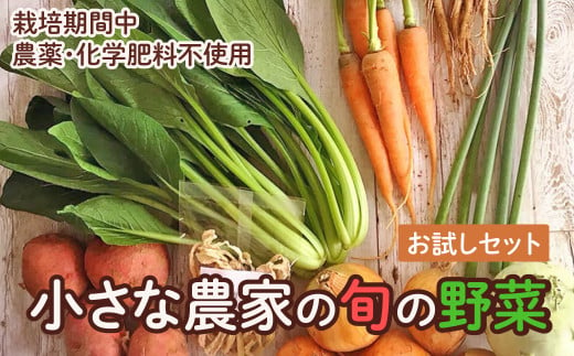 旬の野菜セット 野菜3～4品　お試し　野菜 野菜詰め合わせ おまかせ 新鮮 旬の野菜 愛知県 豊橋市 1886106 - 愛知県豊橋市