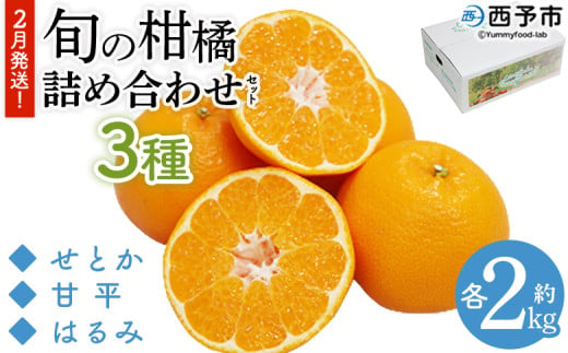 ＜2月発送！旬の柑橘 詰め合わせセット 3種×各2kg＞ 果物 フルーツ みかん ミカン 蜜柑 柑橘 オレンジ ブラッドオレンジ なつみ はるか ネーブル ポンカン 甘夏 特産品 宇都宮物産 愛媛県 西予市【常温】 1761581 - 愛媛県西予市