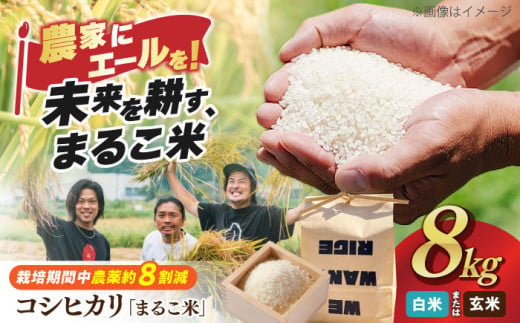 【新米：令和6年産】【玄米】 滋賀県西浅井町産コシヒカリ「まるこ米」2kg×4 滋賀県長浜市/ONE SLASH 株式会社 [AQCZ004-1] 米 お米 白米 玄米 新米 8kg 