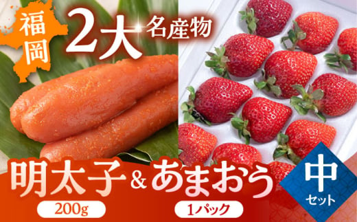 【2024年12月上旬より発送】福岡産 あまおう ＆ ふくや 味の明太子【中】 ▼ めんたいこ 明太子 福岡 イチゴ 苺 セット  桂川町/南国フルーツ株式会社[ADBW002] 1803907 - 福岡県桂川町