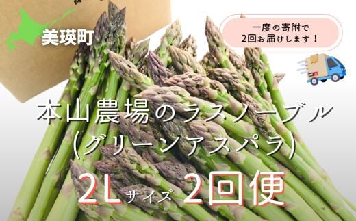 【2025年産！】北海道 美瑛町幻のアスパラ 本山農場のラスノーブル（グリーンアスパラ）2Lサイズ 1kg ≪２回便≫ | グリーン アスパラガス アスパラ あすぱら あすぱらがす 採れたて 新鮮 旬 産地直送 野菜[028-18]