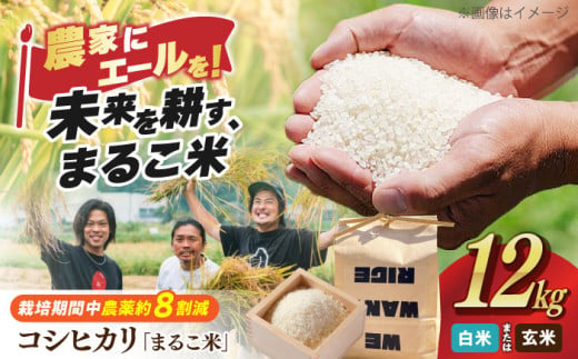 【新米：令和6年産】【玄米】滋賀県西浅井町産コシヒカリ「まるこ米」3kg×4 滋賀県長浜市/ONE SLASH 株式会社 [AQCZ005-1] 米 お米 白米 玄米 新米 12kg 