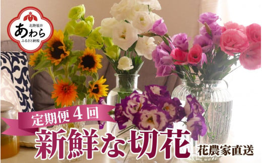 【定期便4回】花農家直送 新鮮な切花【春 夏 秋 冬】 / 生花 お花 旬の花束 豊かな生活 花のある生活 15本程度 2種 季節 年4回 1734316 - 福井県あわら市