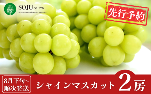 先行予約 シャインマスカット 2房 [8月下旬から発送予定] 令和7年度 贈答用 新潟県 三条市産 ぶどう [三条果樹専門家集団]【016P032】 866514 - 新潟県三条市