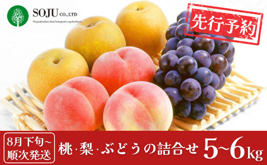 先行予約 季節の桃・梨・ぶどうの詰合せ 合計5～6kg [8月下旬から発送予定] 令和7年度 桃 梨 和梨 ぶどう 贈答用 新潟県 三条市産 果物 [三条果樹専門家集団]【035P010】 866523 - 新潟県三条市