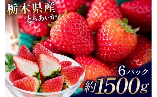 栃木県産　とちあいか6パック ns110-001-6 【いちご 苺 果物 フルーツ とちあいか オリジナル 品種 厳選 甘い 酸味が少ない デザート ジューシー みずみずしい 】 1803999 - 栃木県那須塩原市