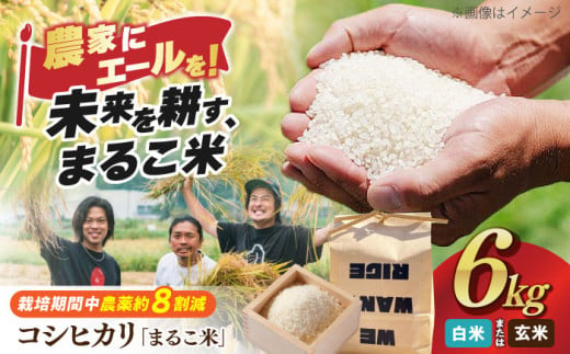 【新米：令和6年産】【白米】滋賀県西浅井町産コシヒカリ「まるこ米」2kg×3 滋賀県長浜市/ONE SLASH 株式会社 [AQCZ003-2] 米 お米 白米 玄米 新米 6kg  1801204 - 滋賀県長浜市