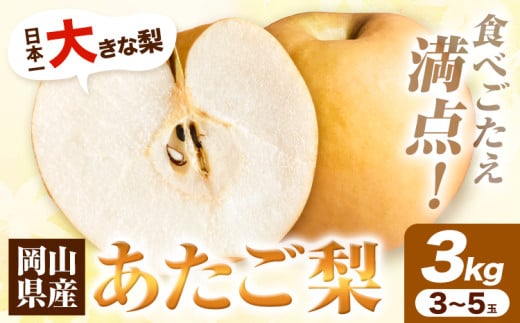 梨 H-38a 岡山県産 あたご梨 3kg (3玉〜5玉)令和7年産先行受付[11月下旬‐12月中旬頃出荷]