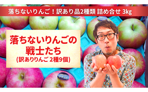 【訳あり品】 落ちないりんごの戦士たち 3kg 【 りんご 品種 おまかせ 2種類以上 旬 産地直送 岩手 陸前高田 】 RT2686 1833315 - 岩手県陸前高田市