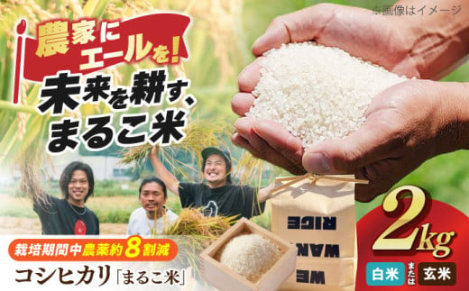 【新米：令和6年産】【白米】 滋賀県西浅井町産コシヒカリ「まるこ米」2kg 滋賀県長浜市/ONE SLASH 株式会社 [AQCZ001-2] 米 お米 白米 玄米 新米 2kg 