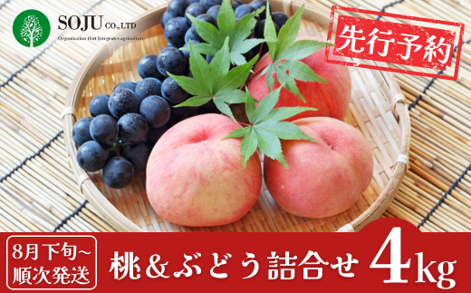 先行予約 季節の桃&ぶどう詰合せ 約4kg [9月上旬から発送予定] 令和7年度 桃（日の出 あかつき なつっこ 川中島白桃 あきぞら 白根白桃 黄金桃） ぶどう（巨峰 シャインマスカット ロザリオビアンコ セキレイ）贈答用 新潟県 三条市産 [三条果樹専門家集団]【038P006】 866524 - 新潟県三条市