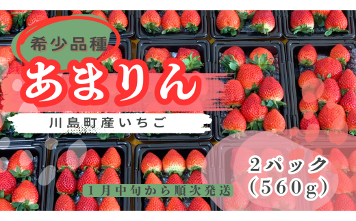 【希少あまりん】朝採れ！いちご　あまりん2パック（560g） 人気　あまりん　希少国産 埼玉県 川島町産 完熟いちご 期間限定  1796719 - 埼玉県川島町