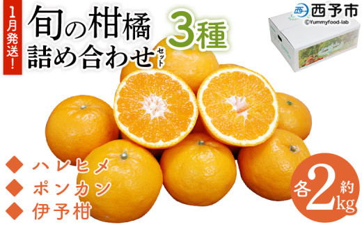 ＜1月発送！旬の柑橘 詰め合わせセット 3種×各2kg＞ 果物 フルーツ みかん ミカン 蜜柑 柑橘 オレンジ ブラッドオレンジ なつみ はるか ネーブル ポンカン 甘夏 特産品 宇都宮物産 愛媛県 西予市【常温】 1748409 - 愛媛県西予市