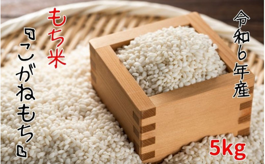【令和6年産】平泉町産もち米 こがねもち 5kg / お米 こめ もちごめ 令和6年産 産地直送 国産 もち米の王様 年末 お正月 餅つき お餅 お雑煮 ぞうに お赤飯 おはぎ ぼたもち ギフト プレゼント 贈答 お祝い お返し 1065702 - 岩手県平泉町