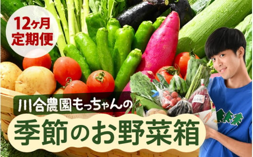 定期便 ≪12ヶ月連続お届け≫ 川合農園もっちゃん季節のお野菜お届け箱 ～季節の野菜や果実を毎月7品種前後お届けします！～ 【野菜 やさい 野菜セット 詰め合わせ おまかせ 新鮮 旬 定期便 12回 産地直送】 [K-7501] 1860233 - 福井県坂井市