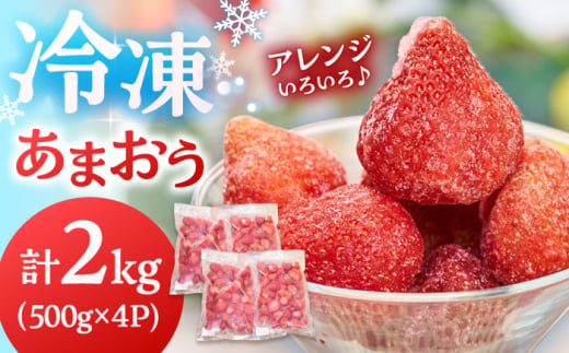 福岡産 冷凍 あまおう 2kg（500g×4袋） ▼ 福岡 冷凍いちご 苺 イチゴ フルーツ 小分け 桂川町/南国フルーツ株式会社[ADBW006] 1803910 - 福岡県桂川町