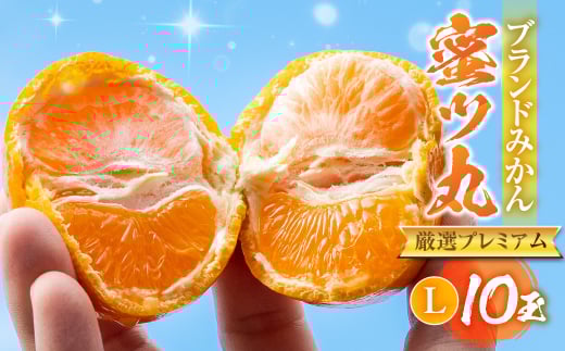 ≪先行予約≫こだわり蜜柑 蜜ツ丸 厳選プレミアム Lサイズ 10玉 黒の化粧箱入 マルカワ園芸 みかん こだわりみかん おみかん屋 ミカン mikan 蜜柑