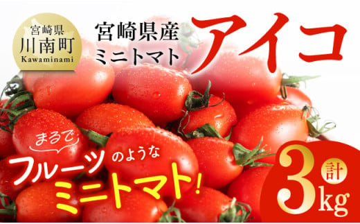 宮崎県産ミニトマト「アイコ」3kg【 宮崎県産 ミニトマト トマト 】