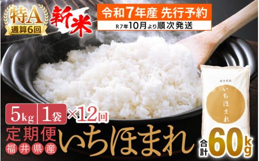 【新米・先行予約】令和7年産 お米 定期便 12回 いちほまれ 5kg × 12回（計60kg）特A通算6回！福井県産【米 コメ kome 12ヶ月連続 計60キロ 精米 白米】【令和7年10月より順次発送予定】 [e27-k002] 277684 - 福井県越前町