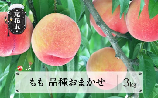 先行予約 もも 品種おまかせ 3kg 8月中旬～9月上旬頃発送 令和7年産 2025年産 桃 果物 フルーツ 山形県産 送料無料 ja-moxxx3 1809453 - 山形県尾花沢市