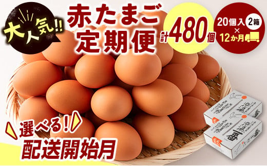 ＜配送開始月が選べる!!＞児湯養鶏自慢の卵 ネッカリッチ赤たまご「児湯一番」 計480個 （20個入×2箱）×12か月定期便 ※2025年4月配送開始【E19-2504】