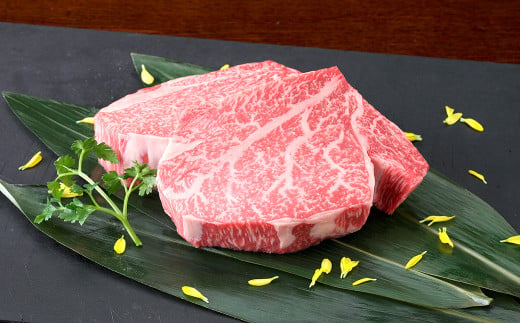 くまもと 黒毛和牛 ヒレステーキ 400g （200g×2枚） 肉 牛肉 お肉 ヒレ ステーキ ステーキ用 和牛 国産牛 冷凍 国産 九州産 熊本県産 1796743 - 熊本県人吉市