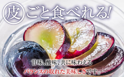 長野県大町市のふるさと納税 【先行予約】2025　ナガノパープル　２房～3房　約1キロ　長野県産  【9月下旬頃～順次発送予定】国際特許有機肥料栽培