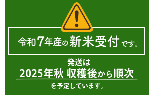 秋田県仙北市のふるさと納税 【無洗米】＜令和7年産 新米予約＞《定期便12ヶ月》秋田県産 あきたこまち 5kg (5kg×1袋) ×12回 5キロ お米【お届け周期調整 隔月お届けも可】 新米