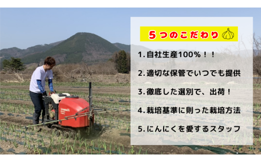 青森県田子町のふるさと納税 【訳あり】青森県田子町産乾燥にんにく『１kg』