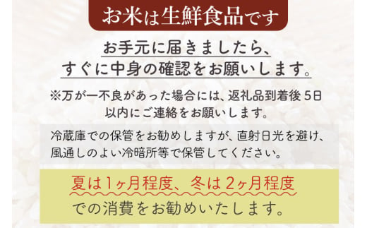 秋田県仙北市のふるさと納税 【無洗米】＜令和7年産 新米予約＞《定期便12ヶ月》秋田県産 あきたこまち 5kg (5kg×1袋) ×12回 5キロ お米【お届け周期調整 隔月お届けも可】 新米