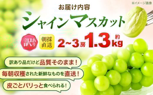 【2025年発送分／先行予約】【訳あり・ご家庭用】 シャインマスカット 約1.3kg(2～3房) / フルーツ 果物 ぶどう マスカット シャインマスカット しゃいんますかっと 訳あり 訳アリ  わけあり ワケアリ / 諫早市 / 肥前グローカル株式会社 [AHDI007] 1418120 - 長崎県諫早市 |