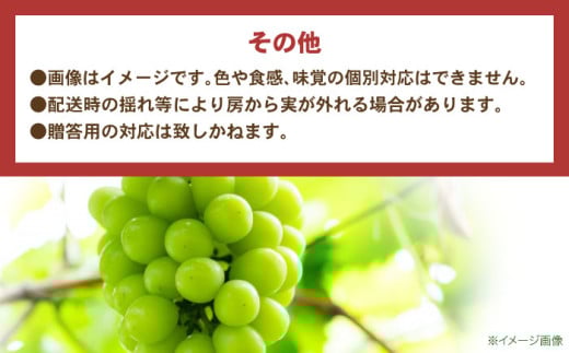【2025年発送分／先行予約】【訳あり・ご家庭用】 シャインマスカット 約1.3kg(2～3房) / フルーツ 果物 ぶどう マスカット シャインマスカット しゃいんますかっと 訳あり 訳アリ  わけあり ワケアリ / 諫早市 / 肥前グローカル株式会社 [AHDI007] 1418120 - 長崎県諫早市 |