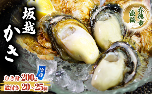 牡蠣 坂越かき 殻付き ＋ むき身 セット 殻付き20個～25個 むき身200g 牡蠣ナイフ付き 冬牡蠣 かき カキ
