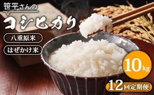 【定期便】【令和6年産】八重原産コシヒカリ 白米【10kg×全12回 合計120kg】｜笹平さんのお米 八重原米 はざかけ はぜかけ 1817104 - 長野県東御市