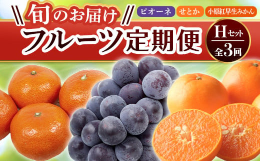 【旬のお届け フルーツ定期便 3回】Hセット ピオーネ 約1.2kg せとか 約5.0kg 小原紅早生みかん 約4.5kg  F5J-800