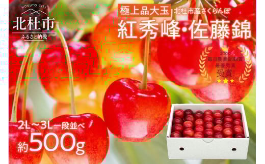 さくらんぼ 2L～3L 【先行予約】約500g 一段並 毎日農業記録賞 全国最優秀賞受賞 極上品大玉  佐藤錦 紅秀峰 やまなし GAP 認証 フルーツ ※2025年6月中旬以降順次発送 岩原果樹園 山梨県 北杜市 送料無料 718466 - 山梨県北杜市